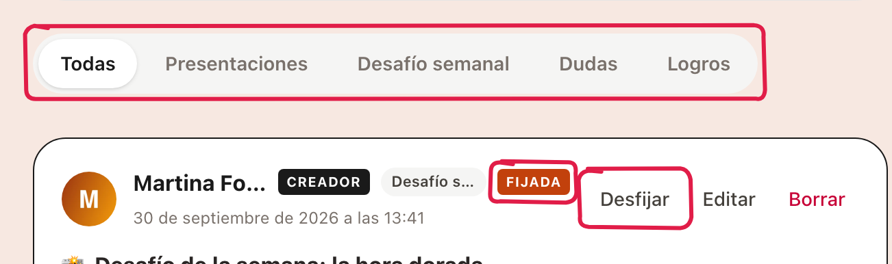 Las pestañas de categorías y una publicación fijada